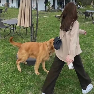 漠北追击